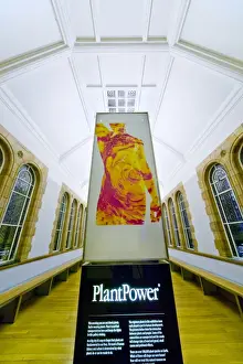 Darwins Canopy Gallery at the north end of the Central Hall