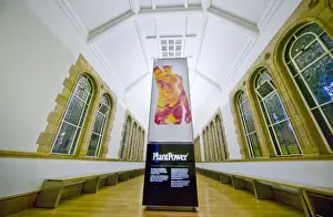 Darwins Canopy Gallery at the north end of the Central Hall