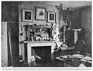 Darwin Gallery: Darwins Study, Down