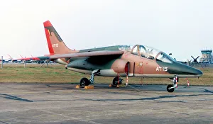 Alpha Prints: Dassault/Dornier Alpha Jet 1B AT15