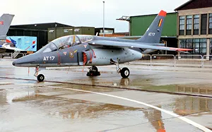 Alpha Prints: Dassault/Dornier Alpha Jet 1B AT17