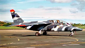 Alpha Prints: Dassault/Dornier Alpha Jet 1B AT18