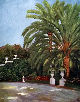 Date: 1904