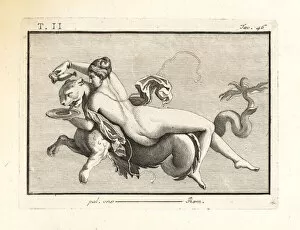 Antichità Gallery: A daughter of Nereus mounted on a sea monster