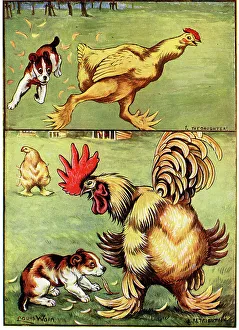 Chasing Collection: The Daughter, Retribution Puppy chasing Chicken