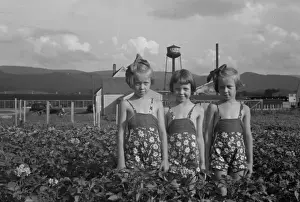 Daughters of a Tygart Valley homesteader. House and factory