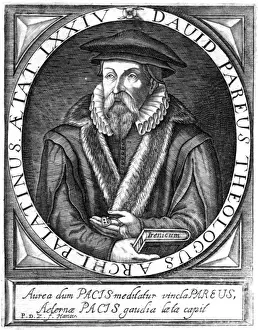 Heidelberg Prints: David Pareus