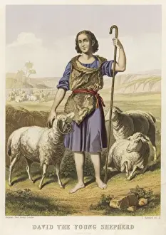 David as a Shepherd