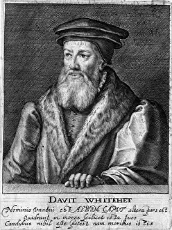 1571 Prints: David Whitehead