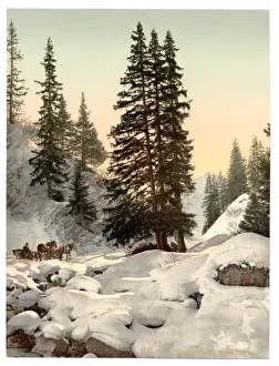 Grisons Prints: Davos, in winter, Grisons, Switzerland