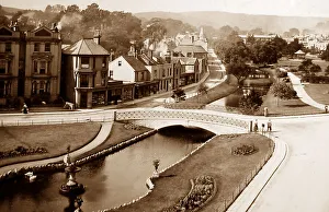Dawlish devon