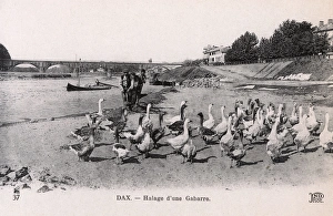 Aquitaine Gallery: Dax, France - Hauling a Barge