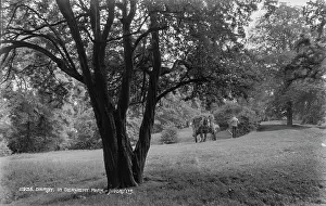 Derwent Prints: A Day in Derwent Park