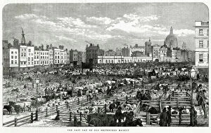 Cows Gallery: The Last Day of the Old Smithfield Market, London 1855