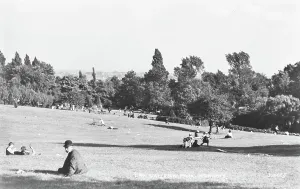 Sunny Prints: A Day at Waterlow Park