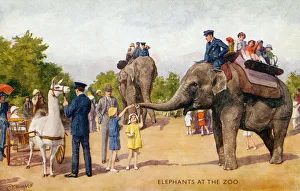 Trap Gallery: A day at the zoo