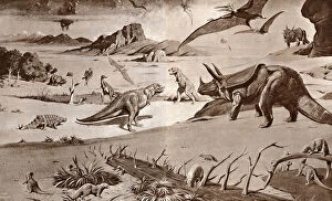 Cretaceous Collection: The Last Days of the Dinosaurs - Time of Great Change