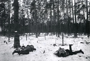 Caught Collection: Dead Russian soldiers at Augustowo, WW1