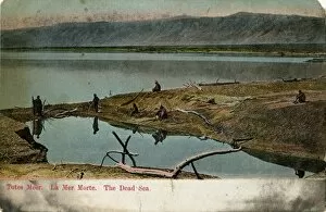 Images Dated 7th February 2012: The Dead Sea, near Jerusalem