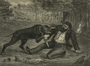 A deadly conflict. The kidnapper foiled