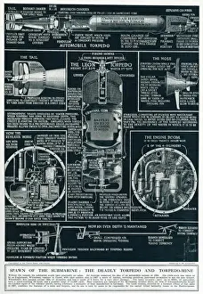 Deadly torpedo and torpedo-mine 1917