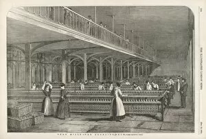 1851 Collection: Dean Mills Cotton Mill