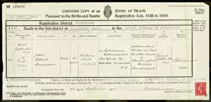 Tuberculosis Collection: Death Certificate 1943