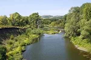 Forests Prints: Deciduous forest in river Sakmara valley (a tributary