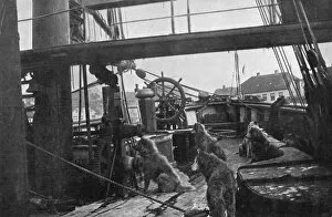 Amundsen Gallery: The Deck of the Fram, 1912