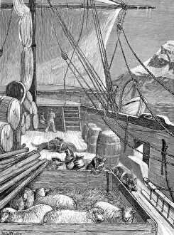 The Deck of HMS Alert, British Arctic Expedition, 1875