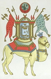 Images Dated 20th April 2011: Decorated Camel - Syria