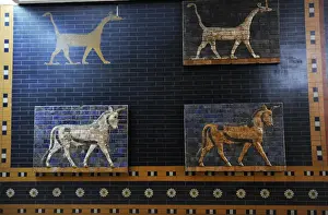 Decoration with aurochs and dragons in the Ishtar Gate. 6th