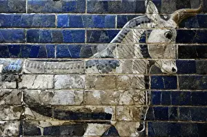 Eighth Prints: Decoration with aurochs and dragons in the Ishtar Gate. 6th