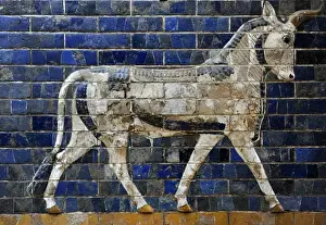 Decoration with aurochs and dragons in the Ishtar Gate. 6th