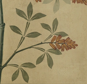 Detail of decorative ceiling panel Detail of decorative ceiling panel