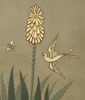 Detail of decorative ceiling panel