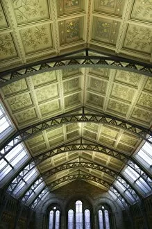 Decorative ceiling panels in the Natural History Museums Ce