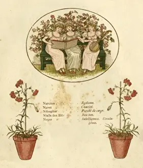 Decorative Floral