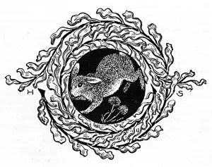 Hares Prints: Decorative hare