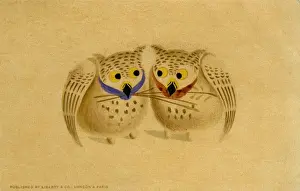 Owls Prints: Decorative owls