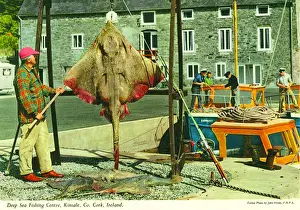 Deep Sea Fishing Center, Kinsale, County Cork