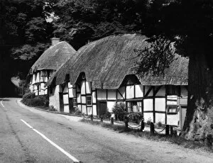 Images Dated 14th March 2011: Deep Thatched Cottages