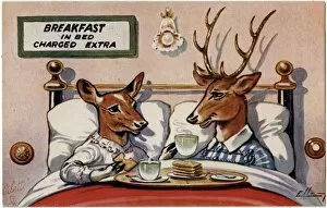 Toast Collection: Two Deer enjoy Breakfast in Bed (charged extra)
