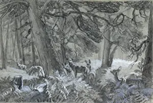 Deer in the forest