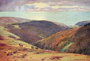 Hunting Collection: Deer Hunt on Exmoor