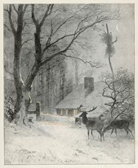 Seasons Gallery: Deer Near House