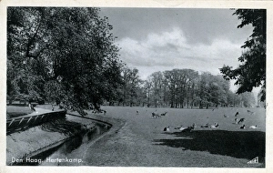Hague Gallery: The Deer Park, The Hague, South Holland