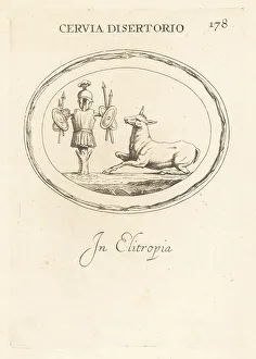 Fawn Prints: The deer of Quintus Sertorius, Roman general