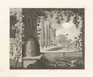 William Skelton Prints: The Degenerate Bees