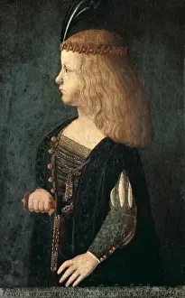 Quattrocento Prints: DEI CONTI, Bernardino (1450-1525). Portrait of